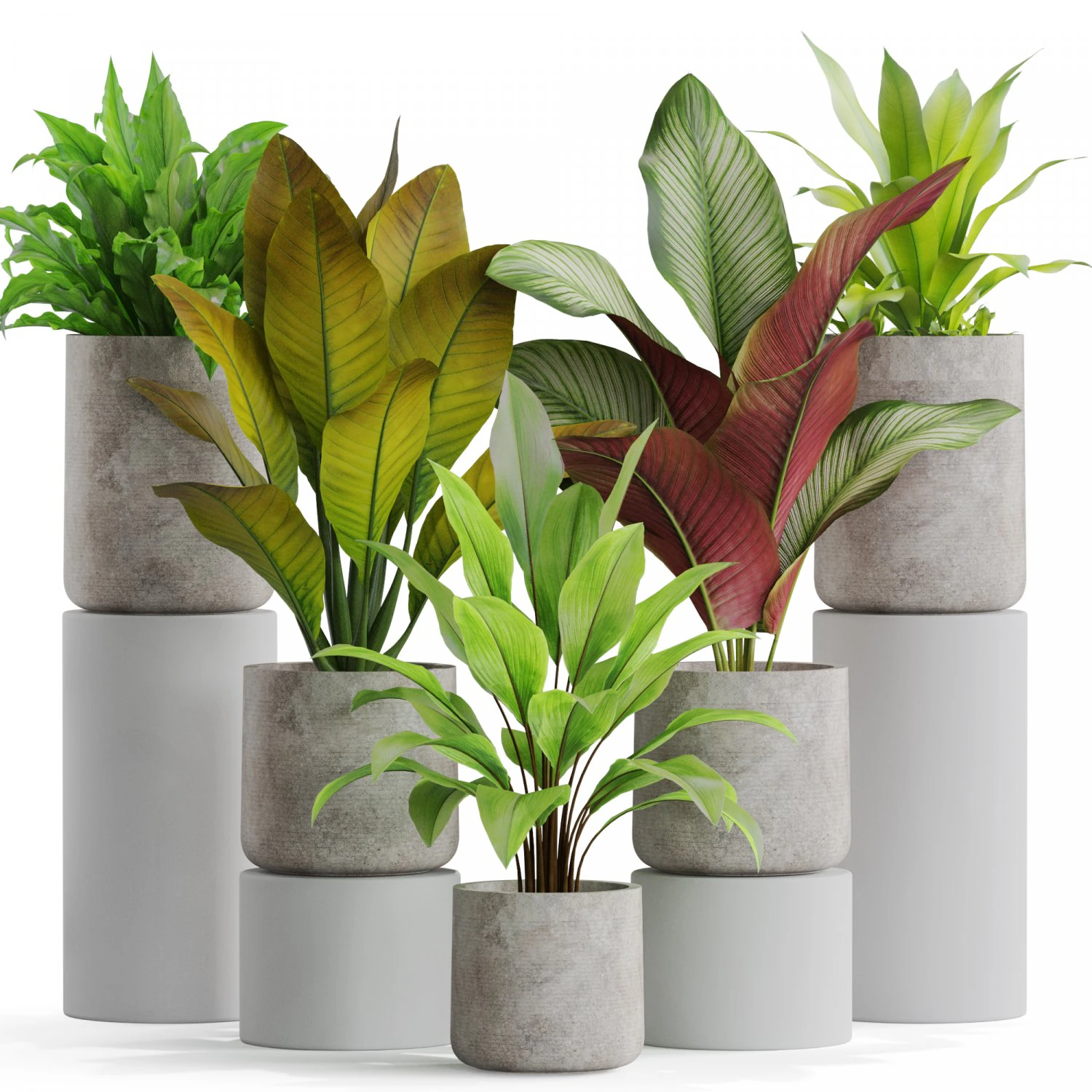 Plants collection 556 3D Model .c4d .max .obj .3ds .fbx .stl .blend 