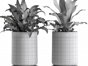 Plants collection 556 Modelo 3D