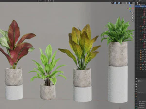 Plants collection 556 3D Model
