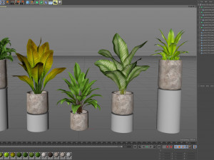 Plants collection 556 Modelo 3D