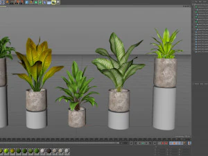 Plants collection 556 3D Model