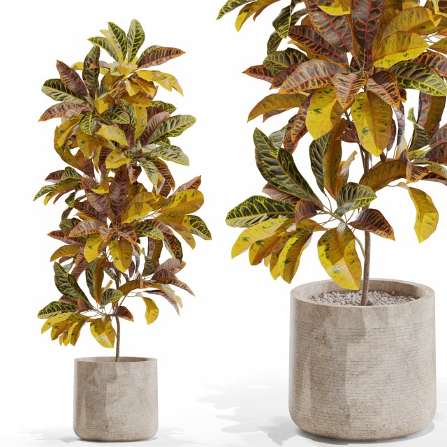 Plants collection 557 Modello 3D .c4d .max .obj .3ds .fbx .stl .blend 