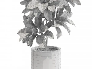 Plants collection 557 3D Model