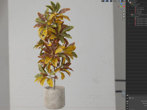 Plants collection 557 Modello 3D