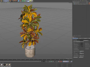 Plants collection 557 3D Model