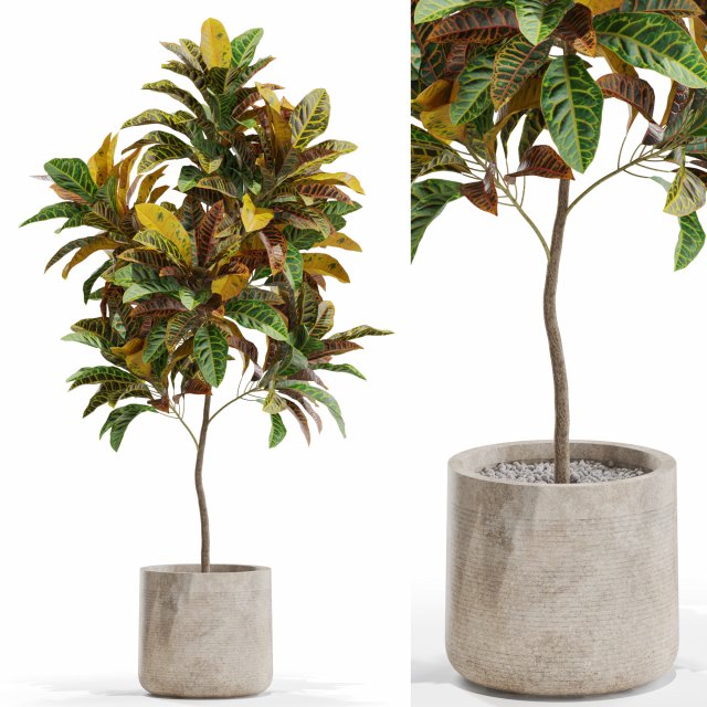 Plants collection 558 Modelo 3D .c4d .max .obj .3ds .fbx .stl .blend 