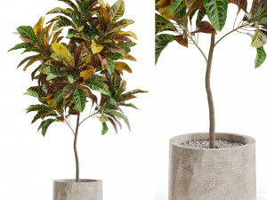 पौधों का संग्रह 558 3D मॉडल