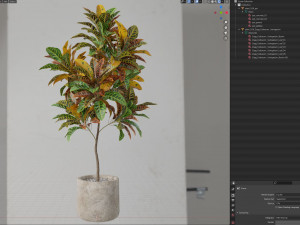 Plants collection 558 Modelo 3D