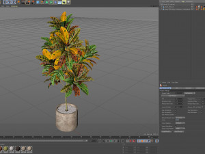 Plants collection 558 Modelo 3D