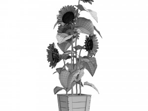 Plants collection 559 Model 3D