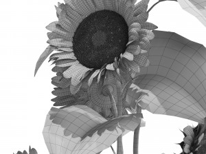 Plants collection 559 Model 3D