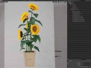 Plants collection 559 Model 3D