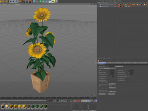 Plants collection 559 Model 3D