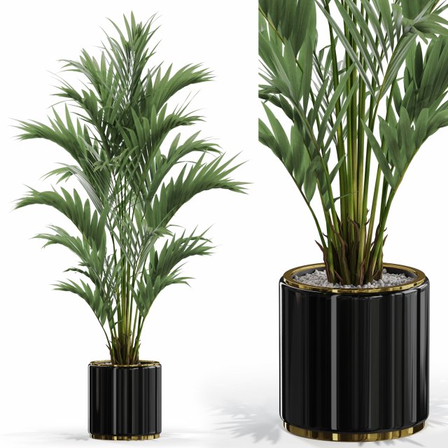 Plants collection 560 3D Model .c4d .max .obj .3ds .fbx .stl .blend 