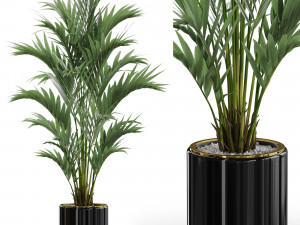 Plants collection 560 3D मॉडल
