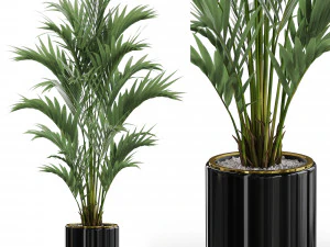 Pflanzensammlung 560 3D Modell