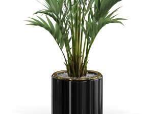 Plants collection 560 3D Model