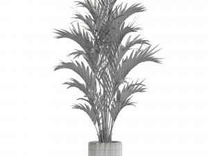 Plants collection 560 3D Model