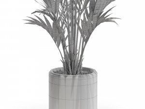 Plants collection 560 3D Model