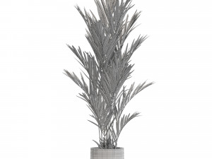 Plants collection 561 Model 3D