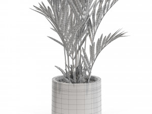 Plants collection 561 Model 3D