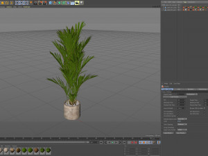 Plants collection 561 Model 3D