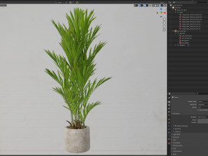 Plants collection 561 Model 3D