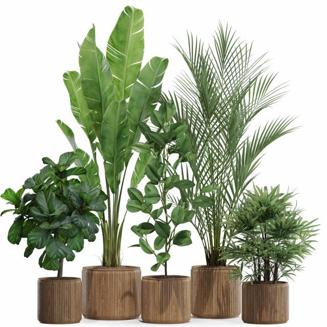 Plants collection 562 Model 3D .c4d .max .obj .3ds .fbx .stl .blend 