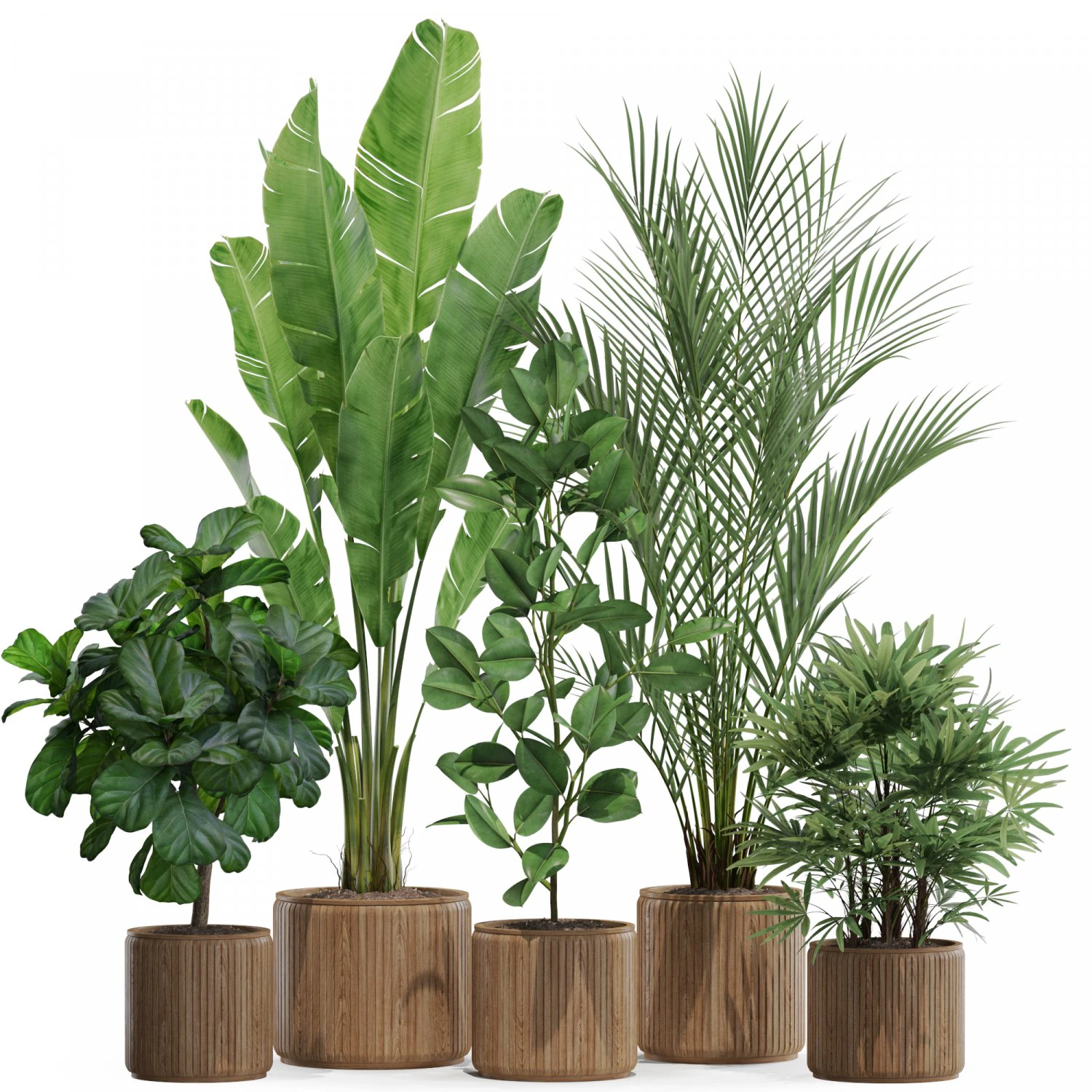 Plants collection 562 3D Model .c4d .max .obj .3ds .fbx .stl .blend 