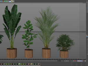 Plants collection 562 Model 3D