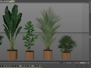 Plants collection 562 3D Model