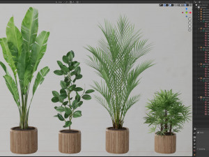 Plants collection 562 Model 3D