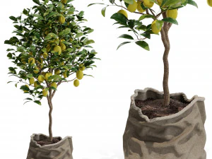 पौधों का संग्रह 563 3D मॉडल