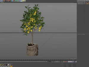 Plants collection 563 3D Model