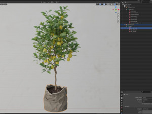 Plants collection 563 Model 3D