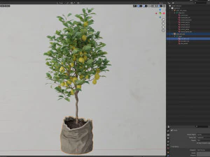 Plants collection 563 3D Model
