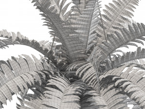 Plants collection 565 3Dモデル