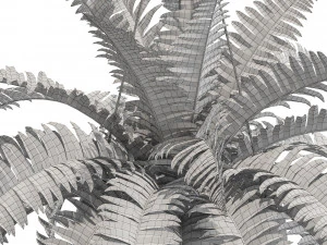 식물채집 565 3D 모델