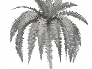 식물채집 565 3D 모델