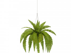 Plants collection 565 3Dモデル