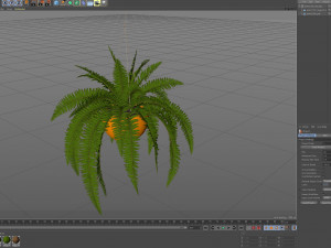 Plants collection 565 3Dモデル