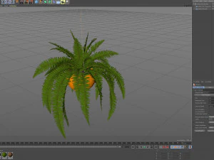 식물채집 565 3D 모델