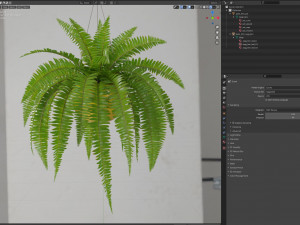 Plants collection 565 3Dモデル