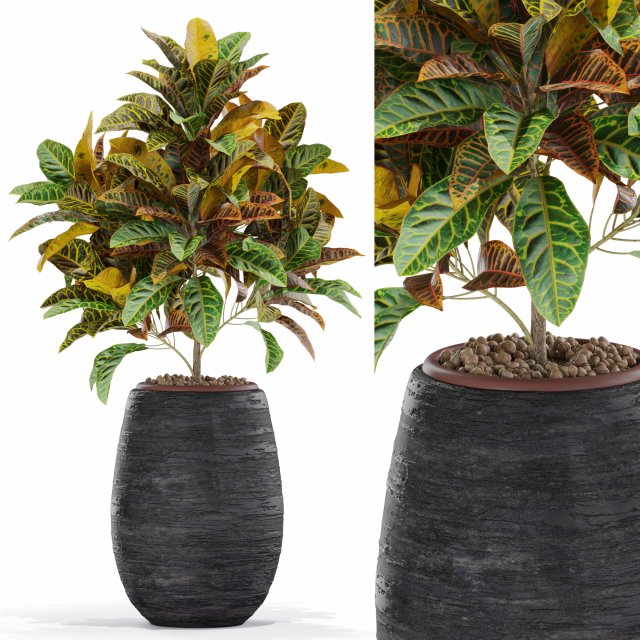 Plants collection 566 3D Модель .c4d .max .obj .3ds .fbx .stl .blend