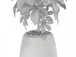 Plants collection 567 Model 3D