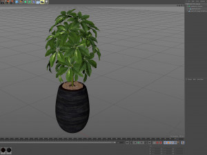 Plants collection 567 Model 3D
