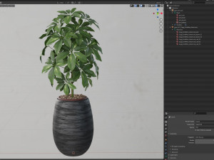 Plants collection 567 Model 3D