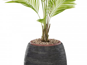 Plants collection 568 Model 3D