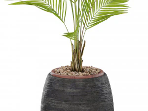 Plants collection 568 3D Model