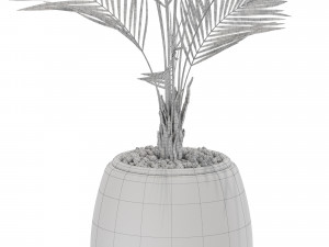 Plants collection 568 Model 3D